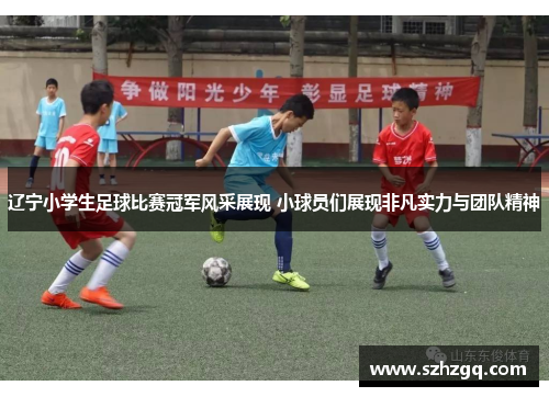 辽宁小学生足球比赛冠军风采展现 小球员们展现非凡实力与团队精神